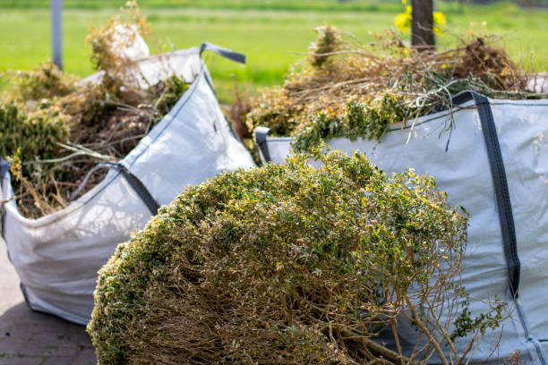 Best Furniture Removal Near Me  in Nashotah, WI
