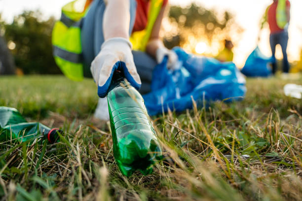 Yard Cleanup Services in Nashotah, WI